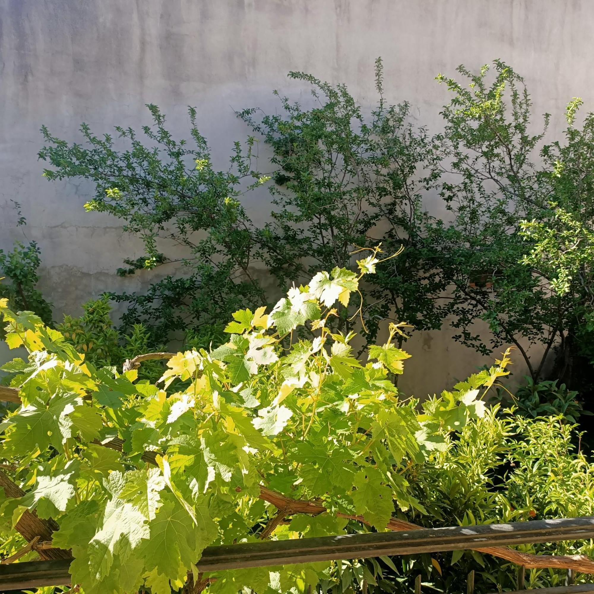 Apartmán Janas House Bari Sardo Exteriér fotografie